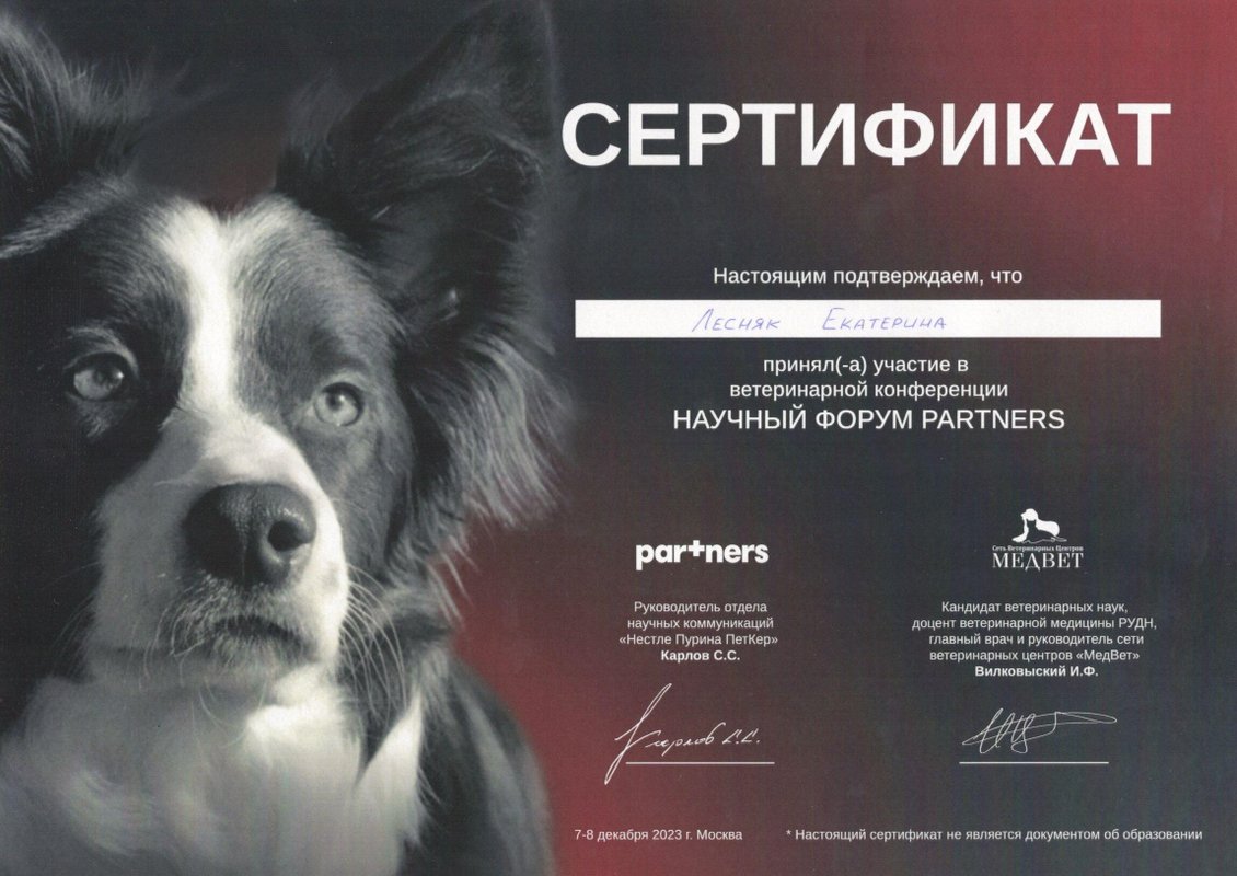 Документ или сертификат