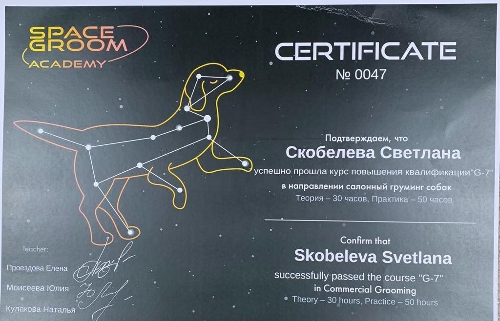 Документ или сертификат