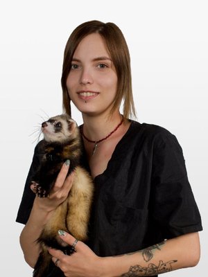 Фото врача Александрова Александра Владимировна