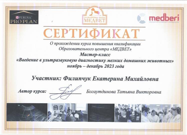 Документ или сертификат