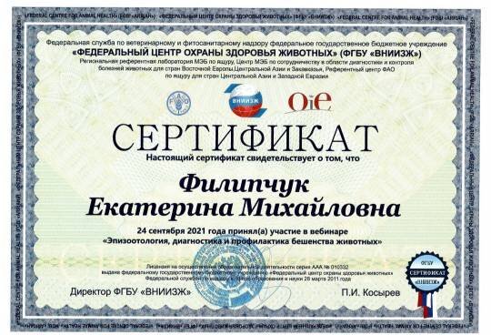 Документ или сертификат