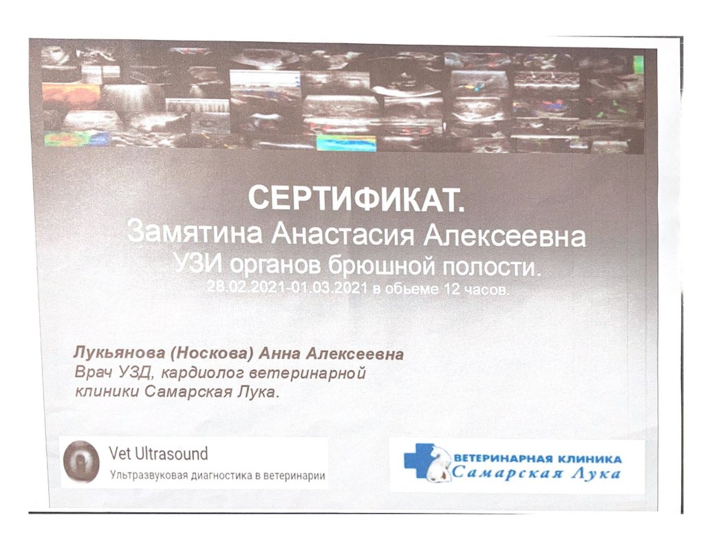 Документ или сертификат