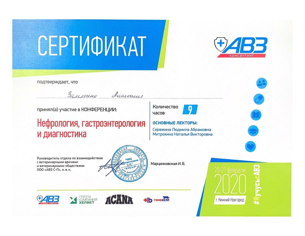Документ или сертификат