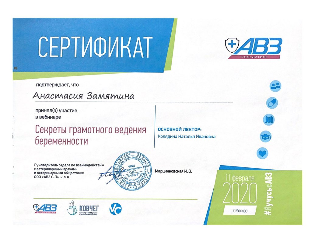 Документ или сертификат