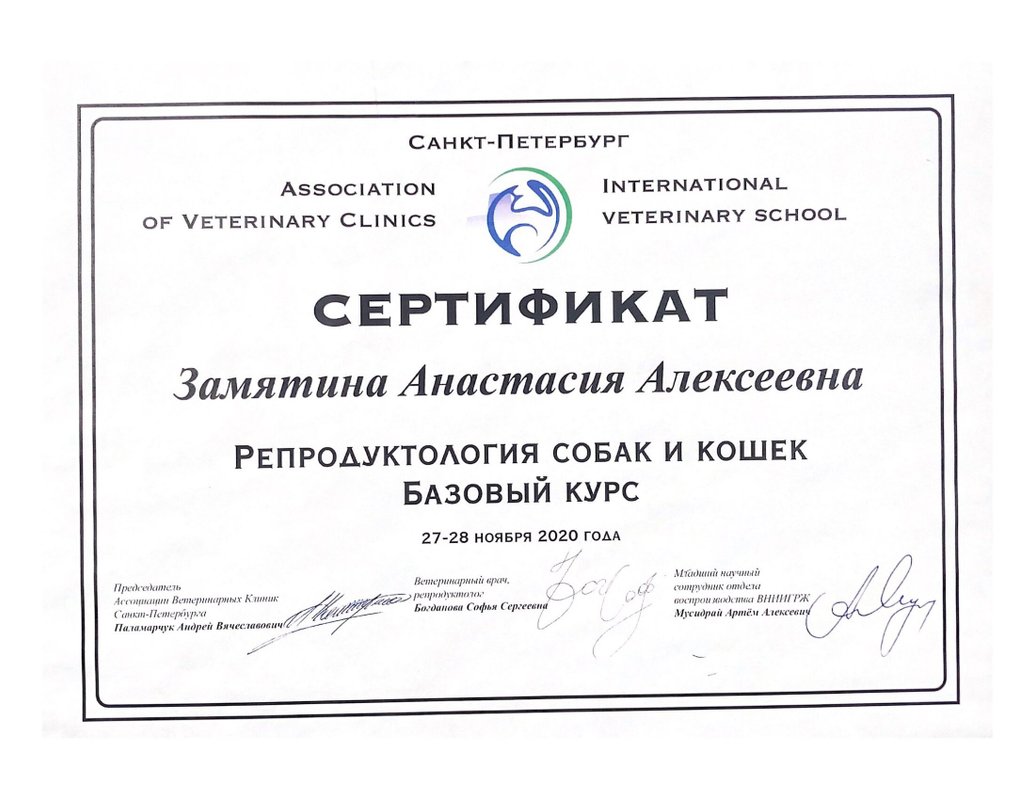 Документ или сертификат