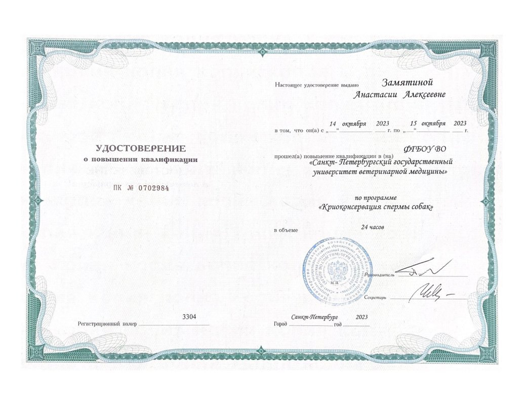 Документ или сертификат