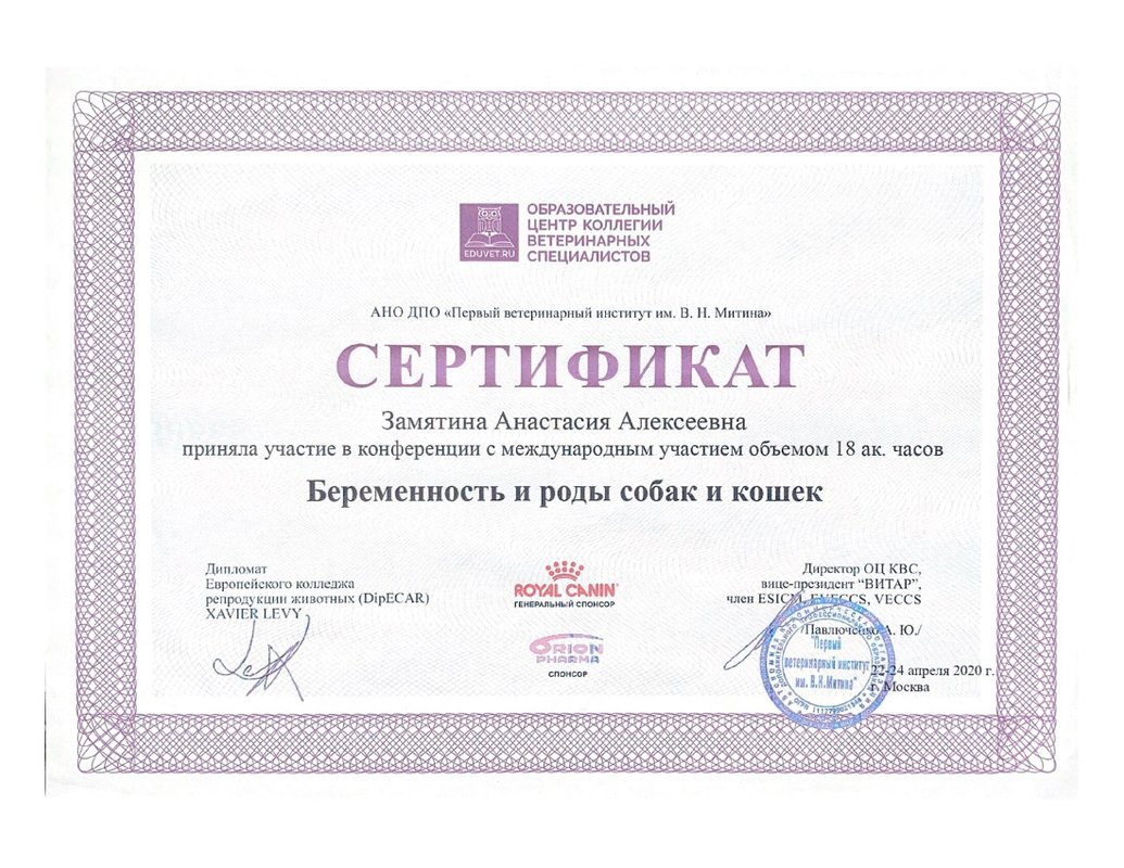 Документ или сертификат