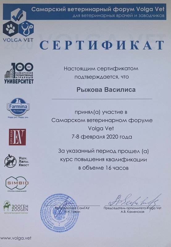 Документ или сертификат