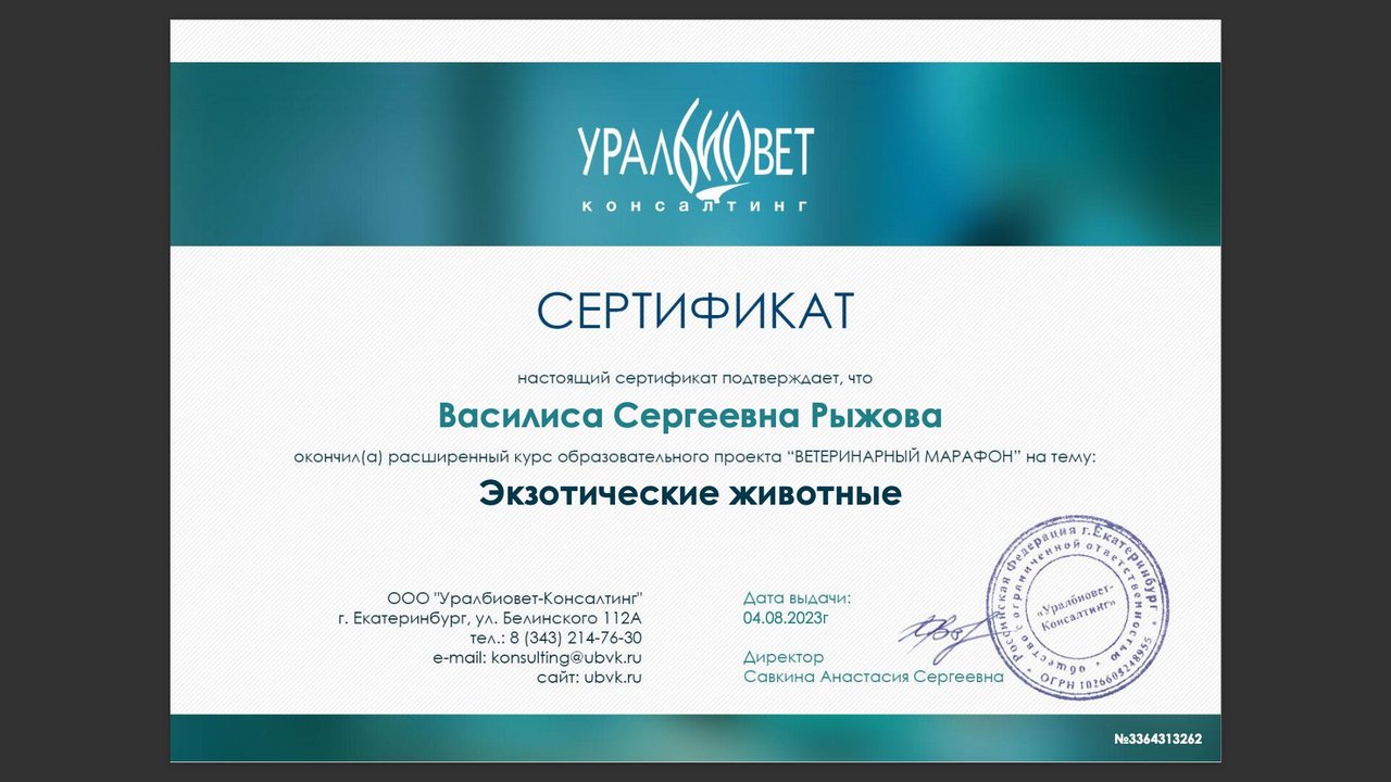 Документ или сертификат