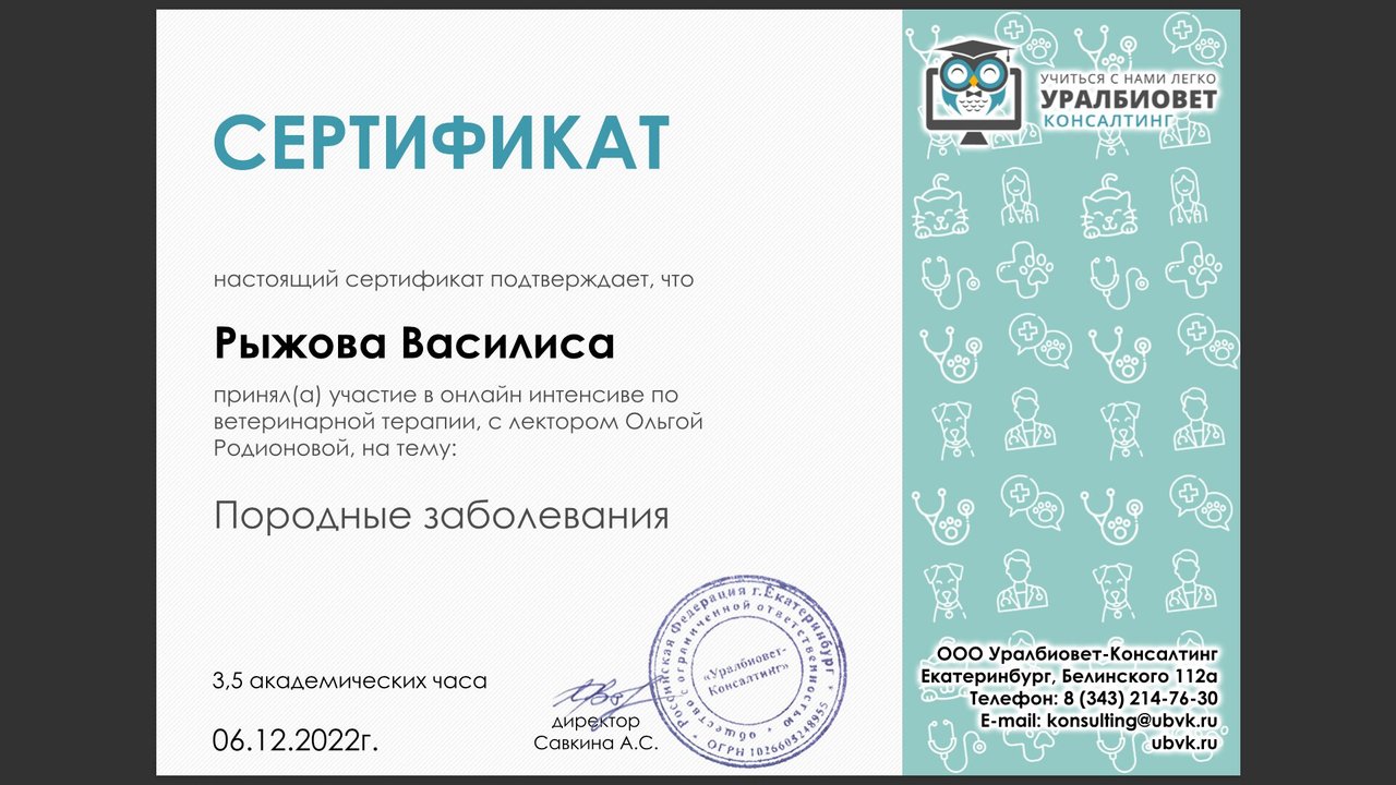 Документ или сертификат