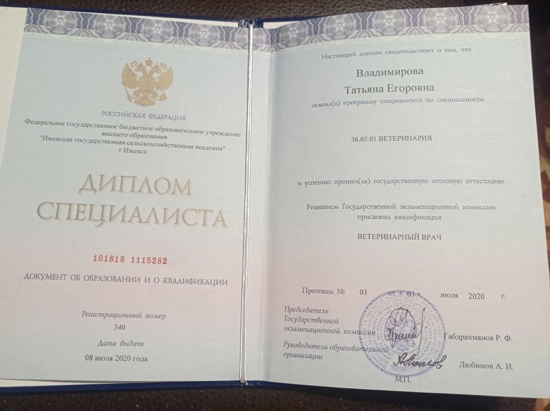 Документ или сертификат