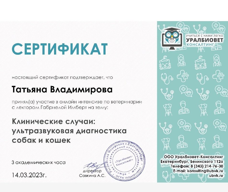 Документ или сертификат