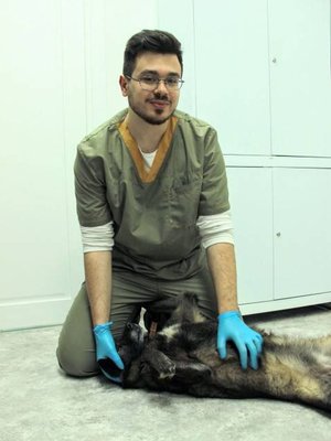Фото врача Мерзляков Григорий Михайлович