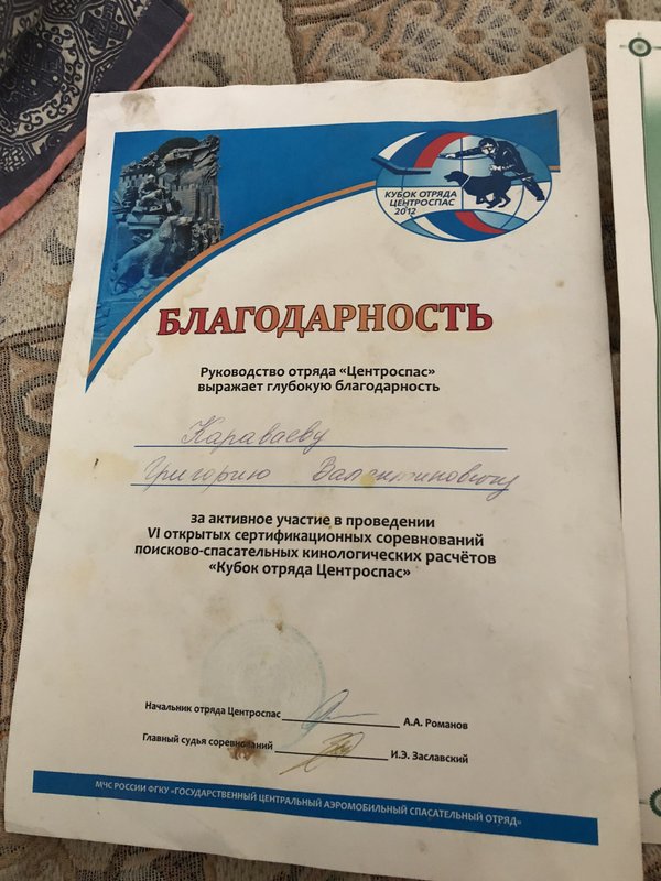 Документ или сертификат