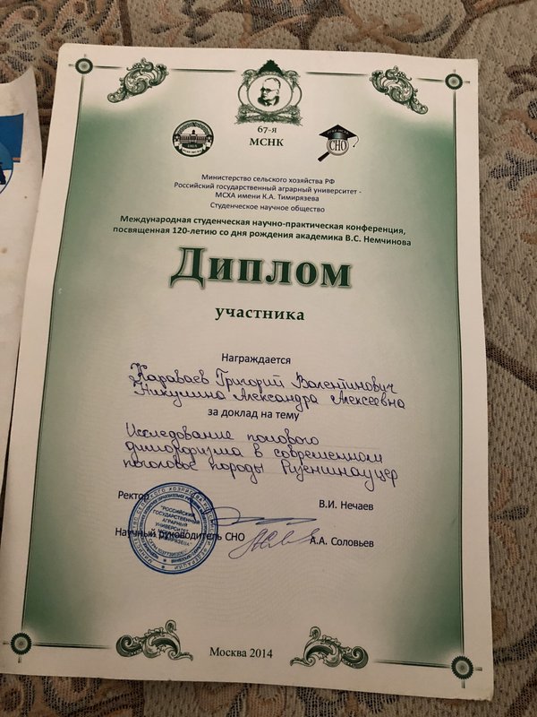 Документ или сертификат