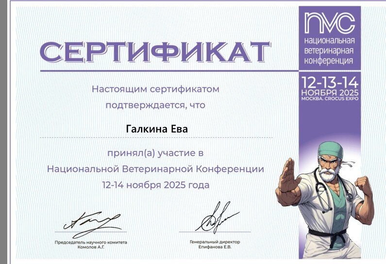 Документ или сертификат
