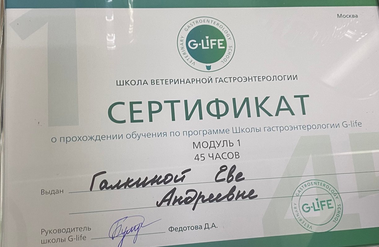 Документ или сертификат