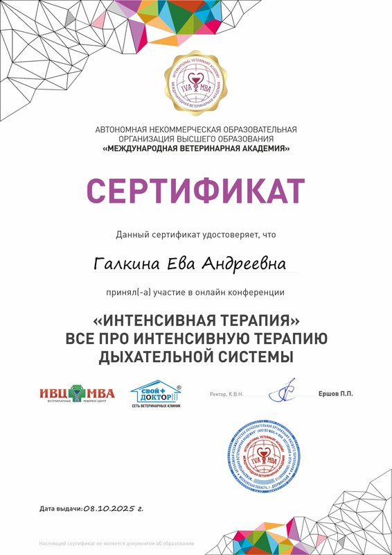 Документ или сертификат