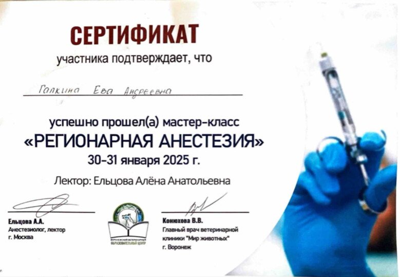 Документ или сертификат