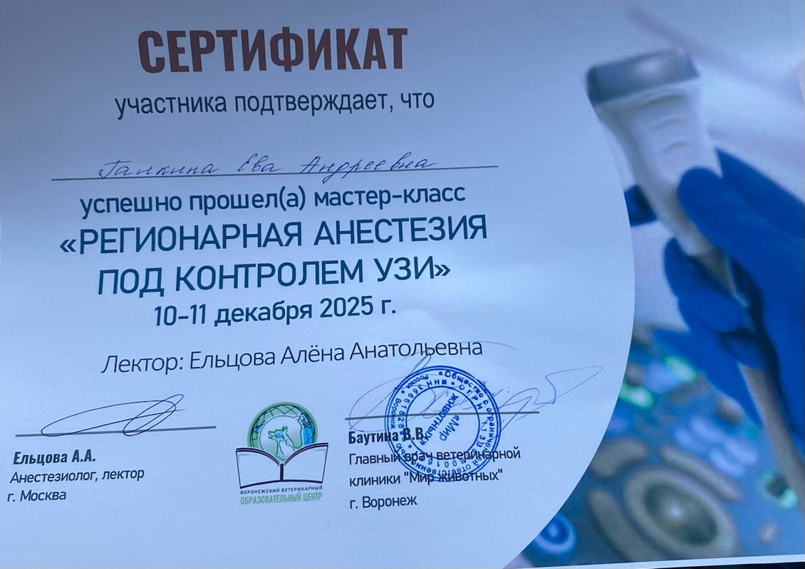 Документ или сертификат