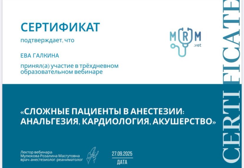Документ или сертификат