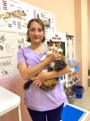 Фото врача Зайцева Екатерина Николавна