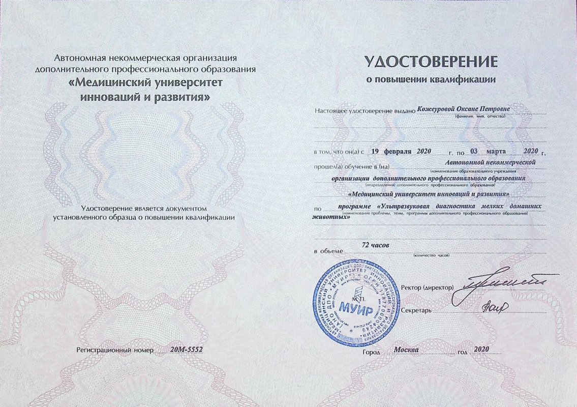 Документ или сертификат