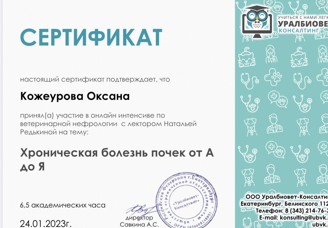 Документ или сертификат