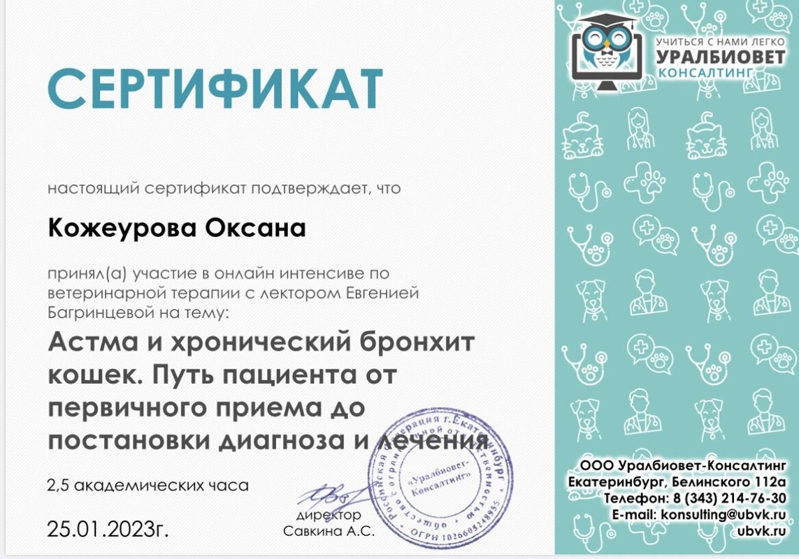 Документ или сертификат