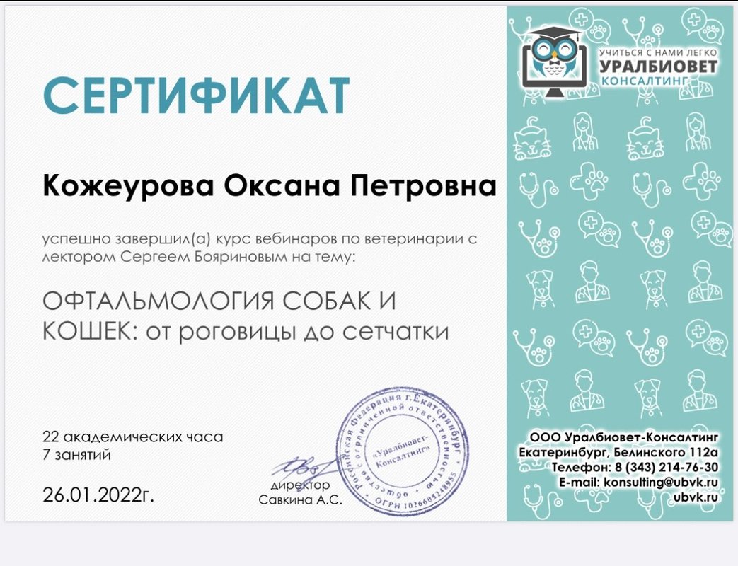 Документ или сертификат