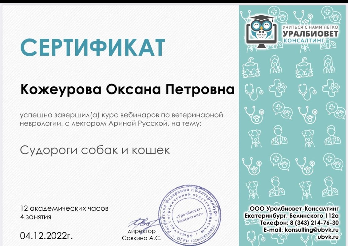 Документ или сертификат
