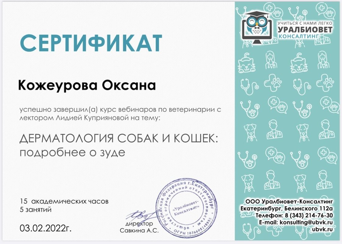 Документ или сертификат