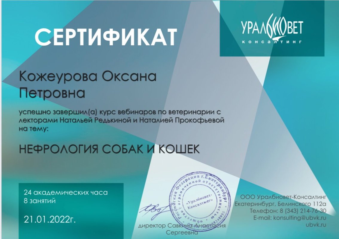 Документ или сертификат