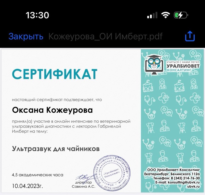 Документ или сертификат