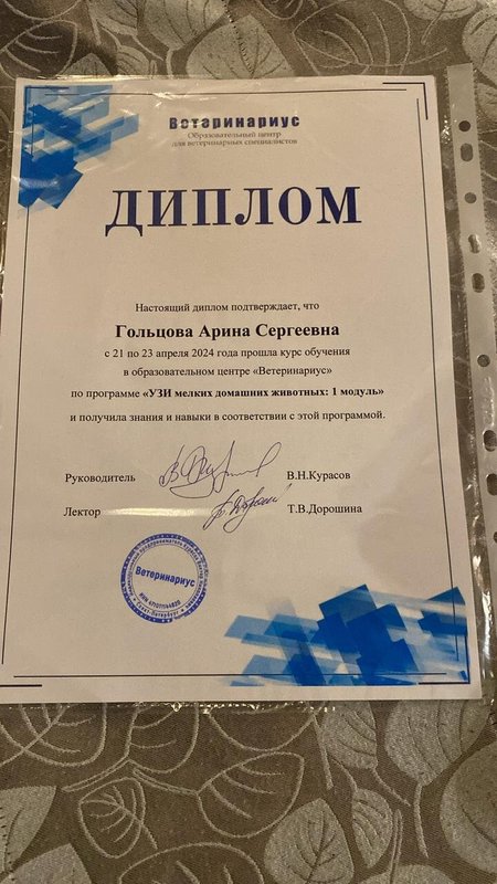 Документ или сертификат
