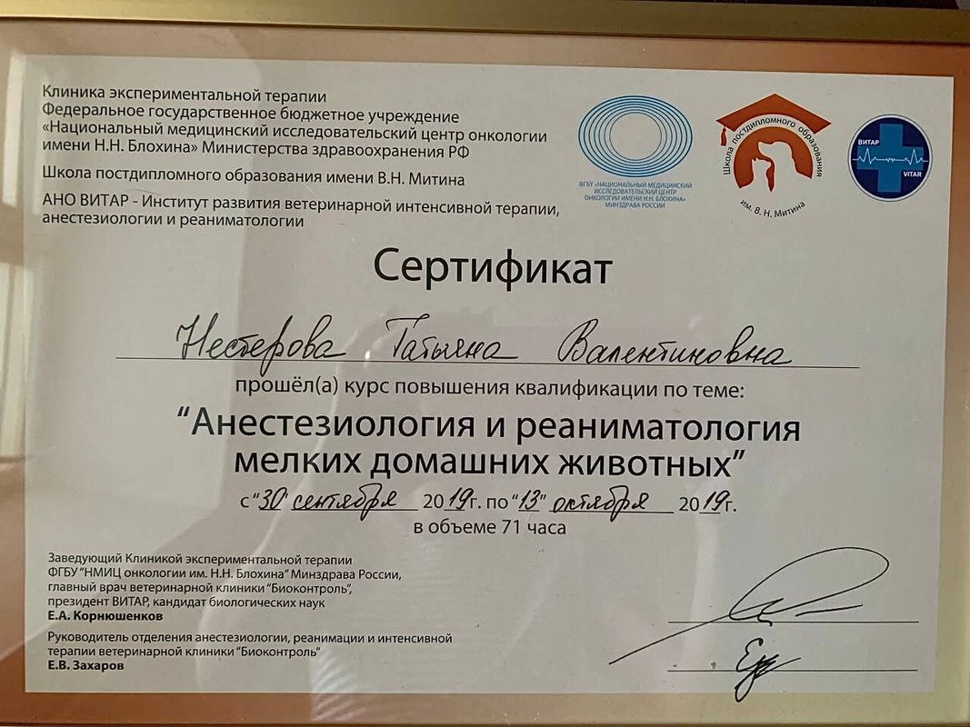 Документ или сертификат