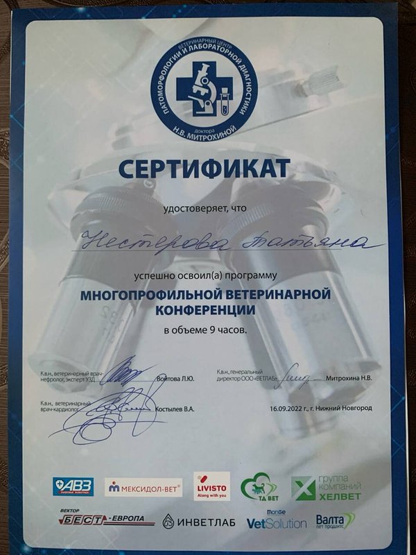 Документ или сертификат