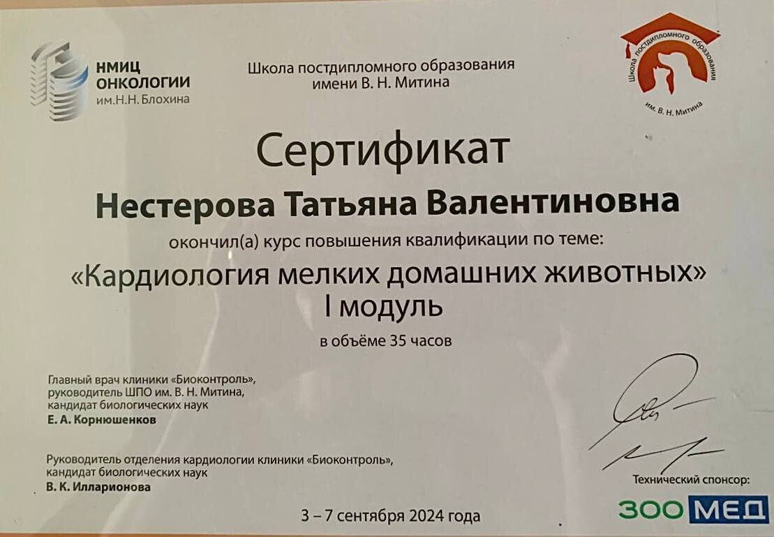 Документ или сертификат