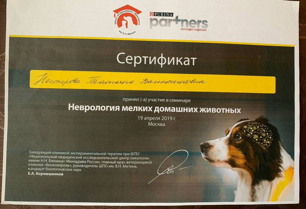 Документ или сертификат