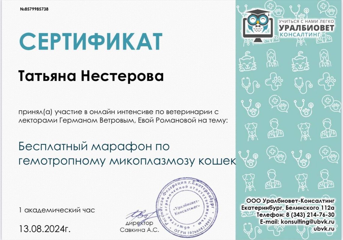 Документ или сертификат