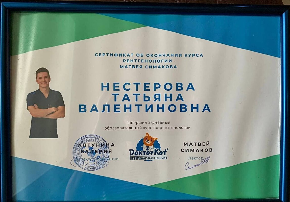 Документ или сертификат