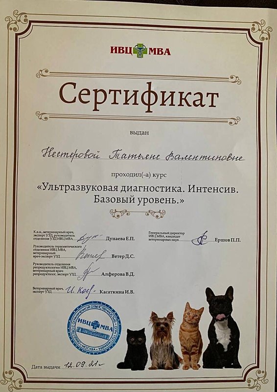 Документ или сертификат