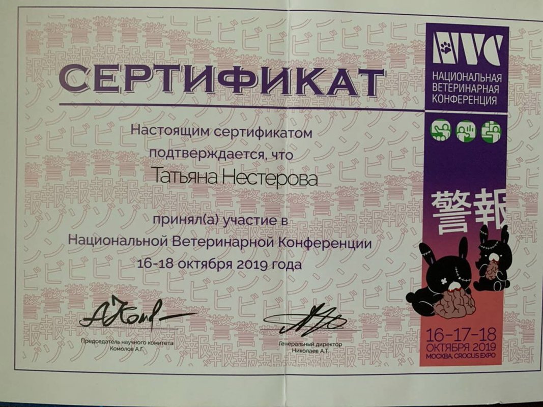 Документ или сертификат