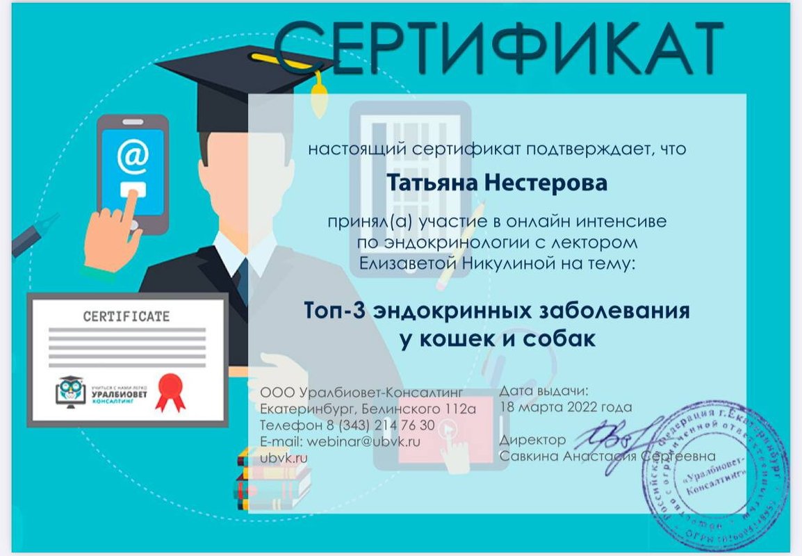 Документ или сертификат