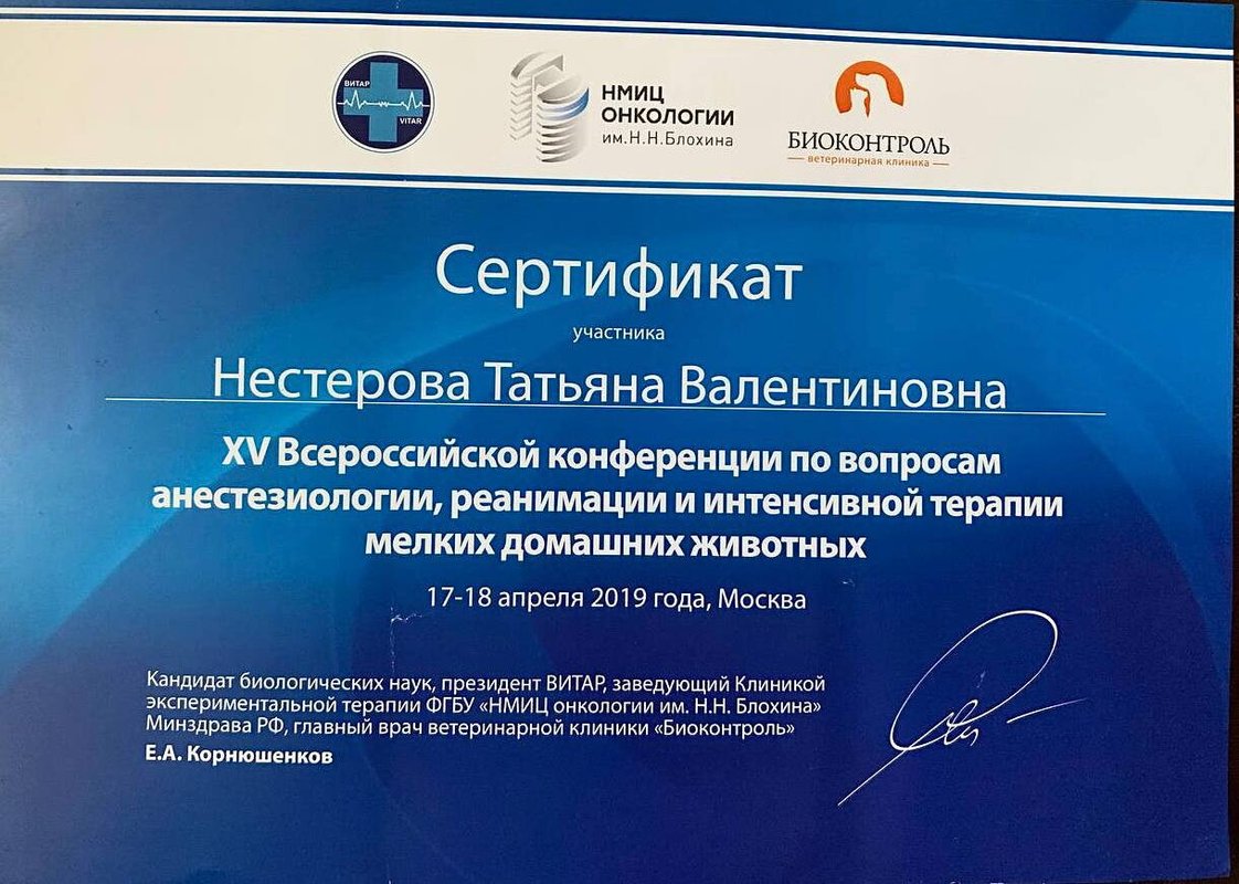 Документ или сертификат