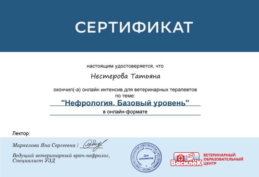 Документ или сертификат