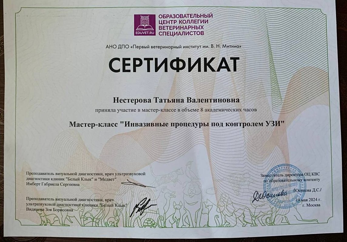 Документ или сертификат