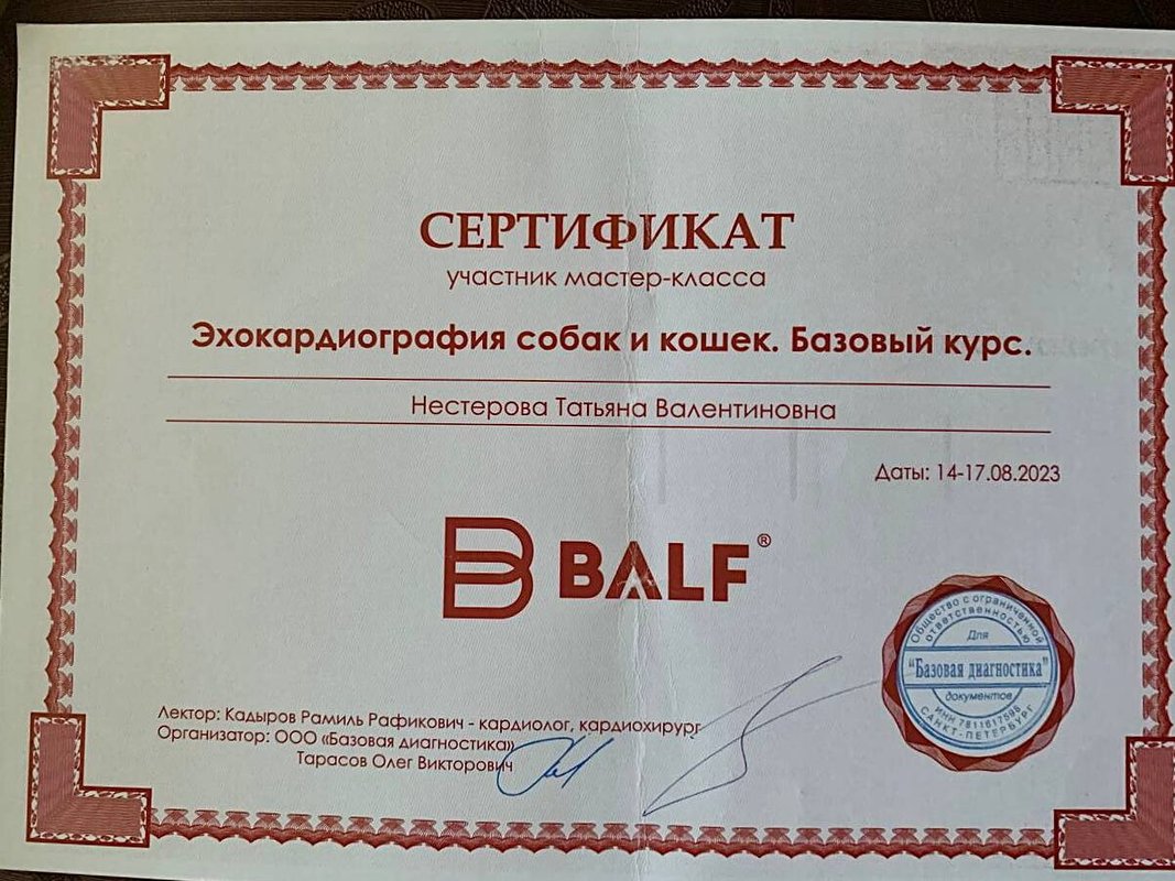 Документ или сертификат