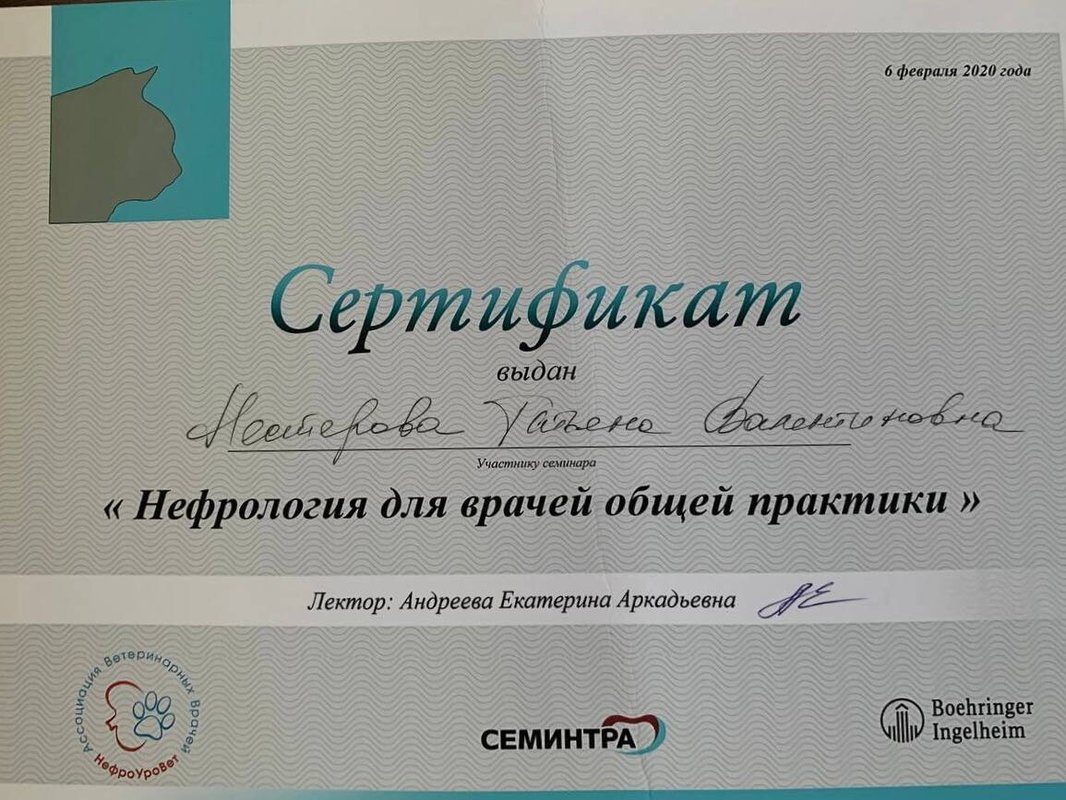 Документ или сертификат