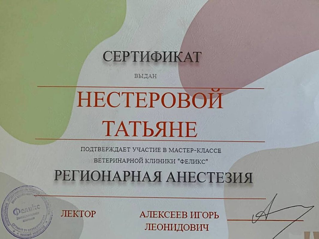 Документ или сертификат